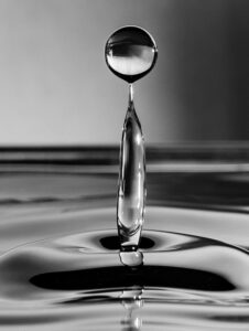 Visions of the Bellarine and beyond