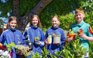 A fair of fresh food