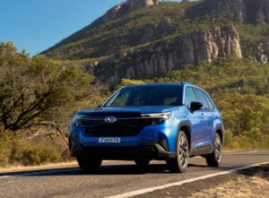 Rear view in Forester focus
