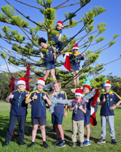 Deck the halls with Christmas trees