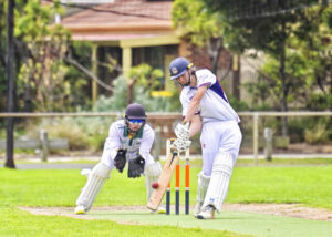 Wallabies too good for Cobras