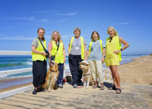 Dog’s Breakfast for ‘hoodies’