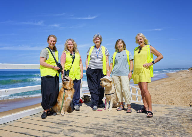 Dog’s Breakfast for ‘hoodies’