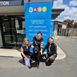 Bring Geelong’s animals a little Christmas cheer