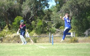 Geelong women’s cricket results