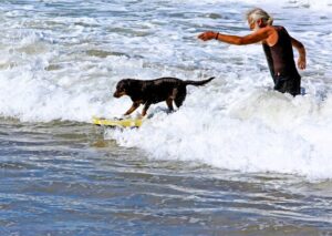 Year in review – December